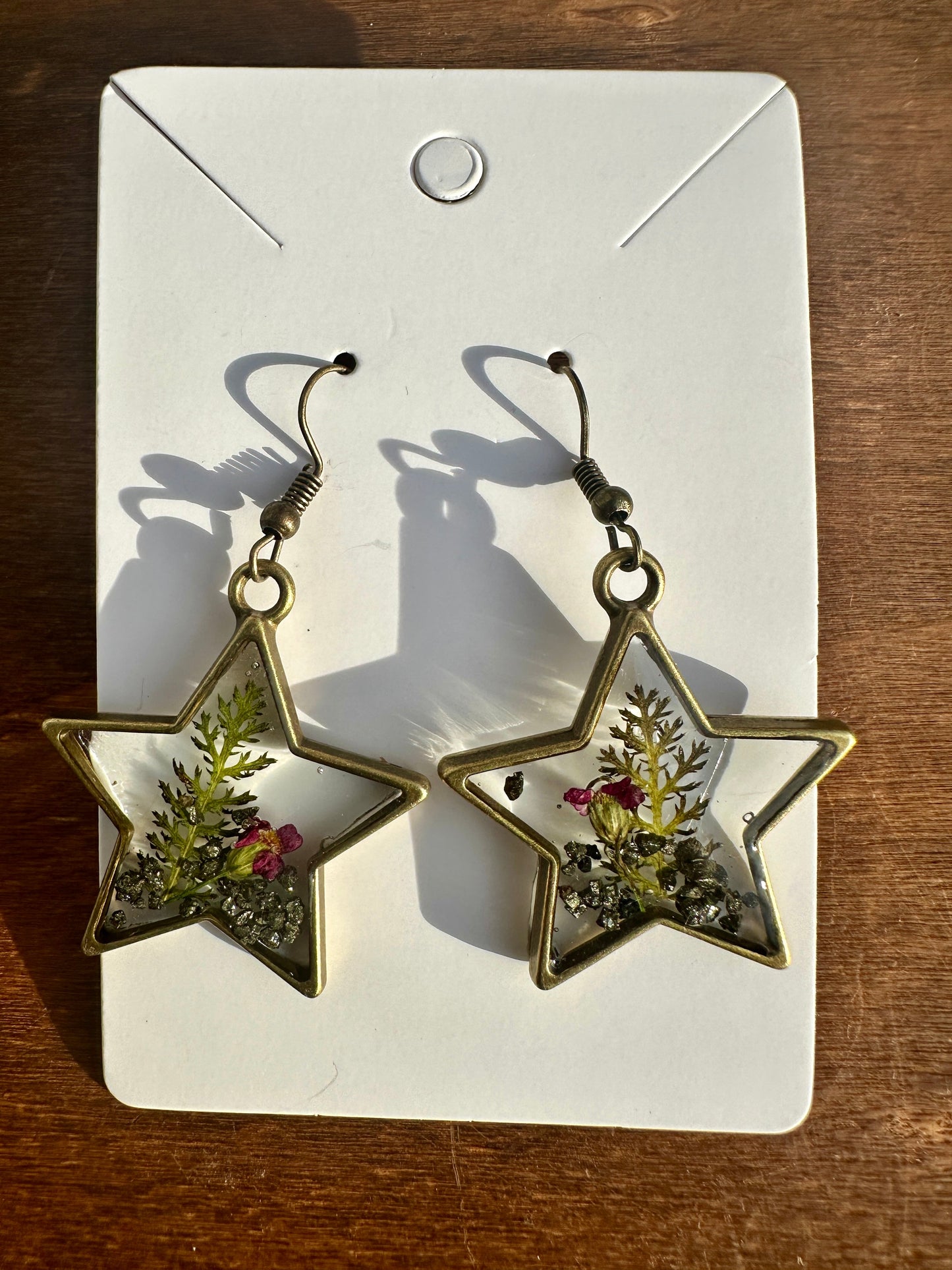 Bronze Star Earrings