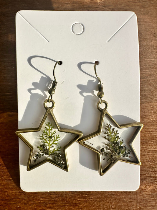 Bronze Star Earrings