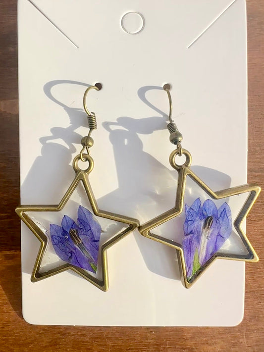 Bronze Star Earrings