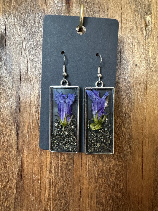 Blue Cardinal Flowers